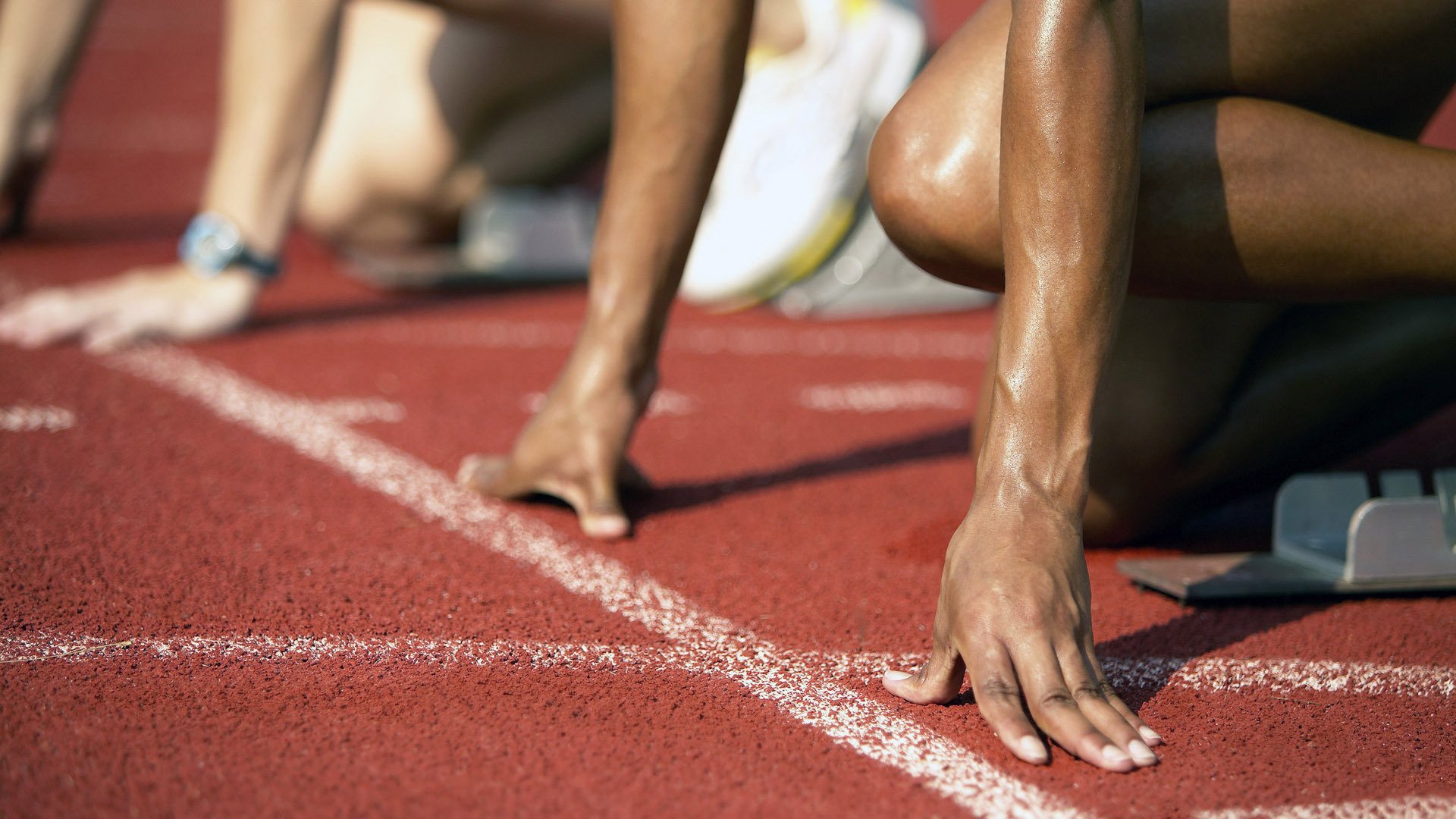 开云官方-伊朗马术协会建立马匹基因数据库，促进马匹选育与训练。，伊朗马球