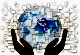 开云体育充值-全国电子竞技公开赛上海收官，全国电子竞技大赛官网2020